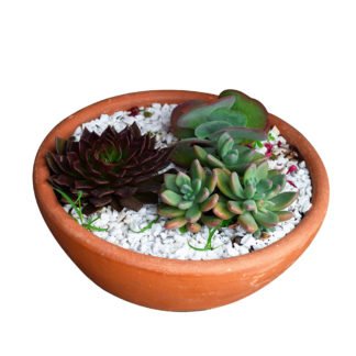 Vaso com Plantas 36x36 cm